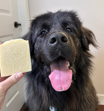 Dog Shampoo - Lavender